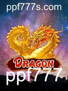 Explorando o Mundo Envolvente de Dragon: Uma Jornada Interativa